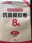 2020年亮點激活中考仿真模擬卷數學
