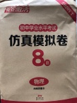 2020年亮點(diǎn)激活中考仿真模擬卷物理
