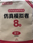 2020年亮點激活中考仿真模擬卷化學
