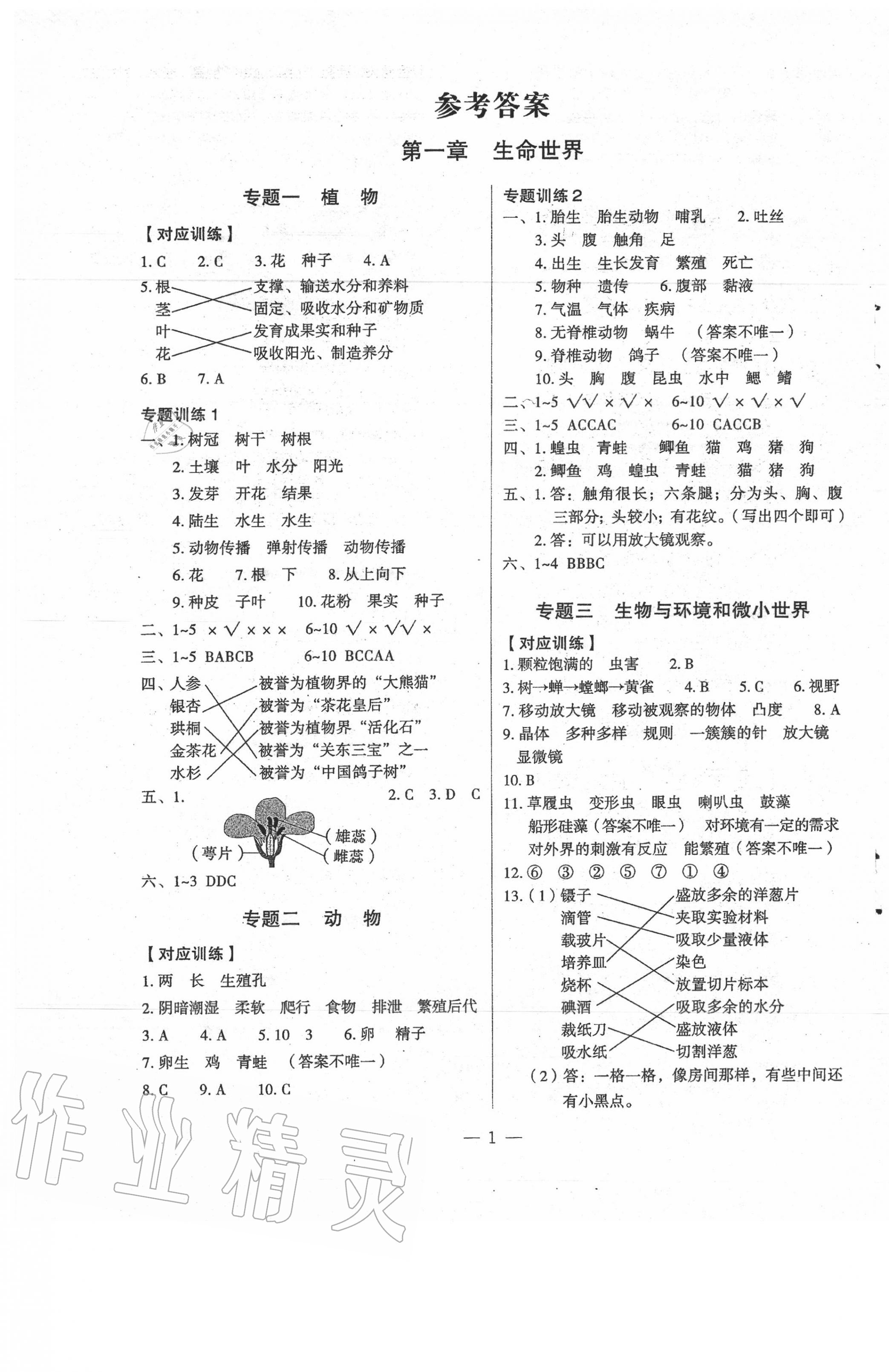 2021年名師面對(duì)面小考滿(mǎn)分特訓(xùn)方案科學(xué) 第1頁(yè)