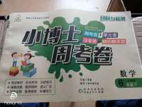 2020年小博士周考卷六年級數(shù)學(xué)下冊人教版