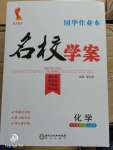 2020年國華作業(yè)本名校學(xué)案九年級化學(xué)下冊人教版