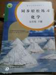 2020年同步轻松练习九年级化学下册人教版