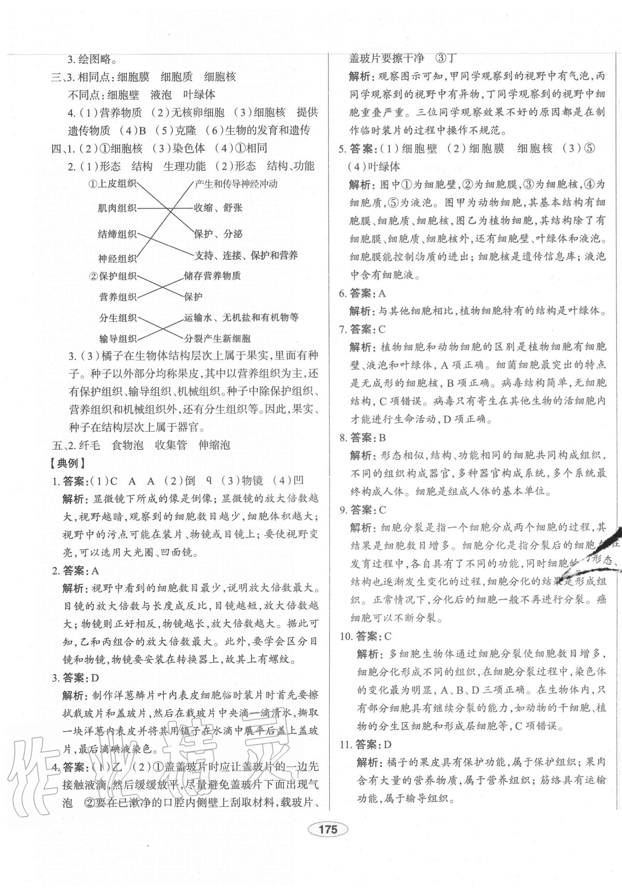 2020年中考档案初中总复习学案导学生物 第3页