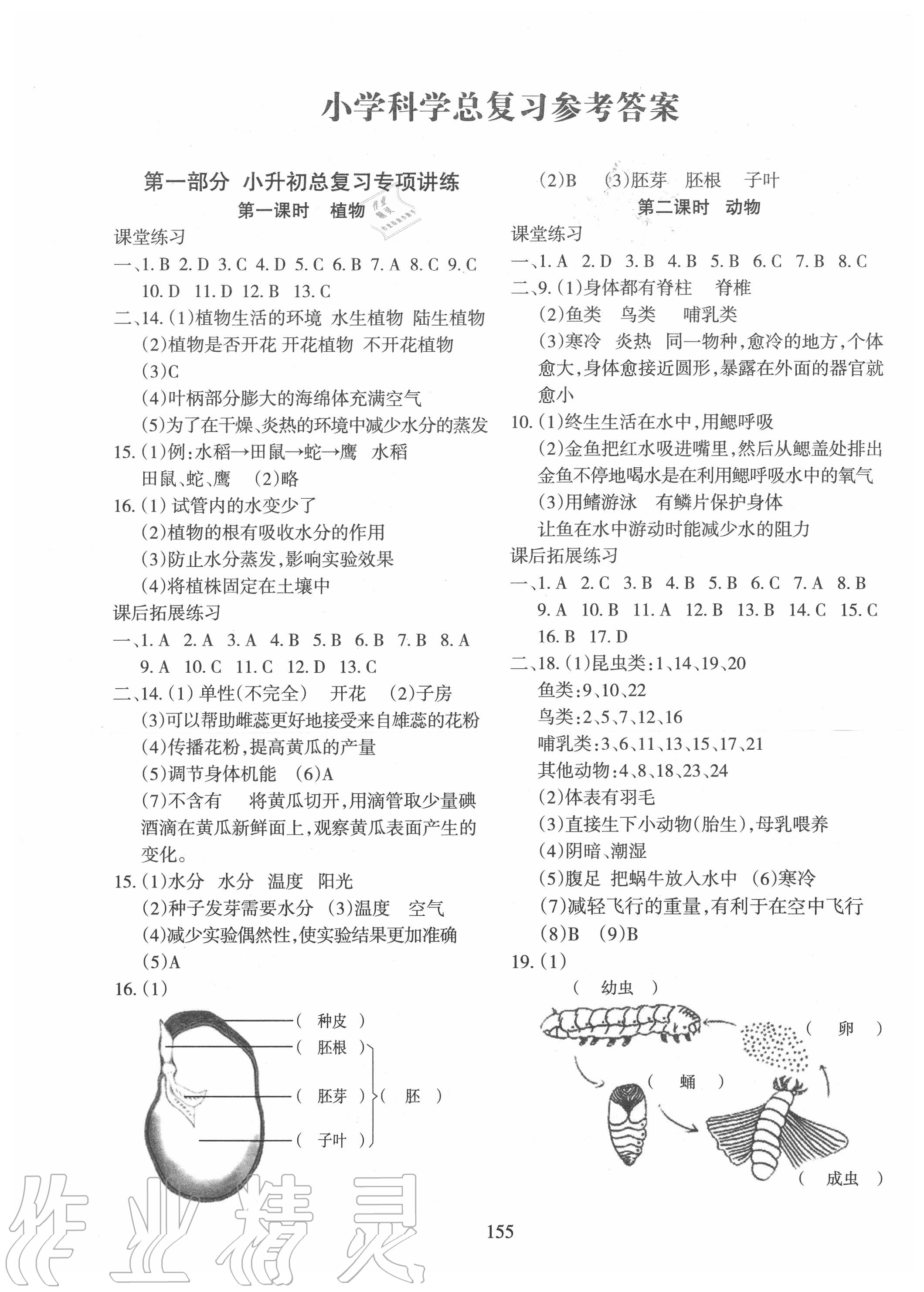 2020年小學畢業班科學總復習 第1頁