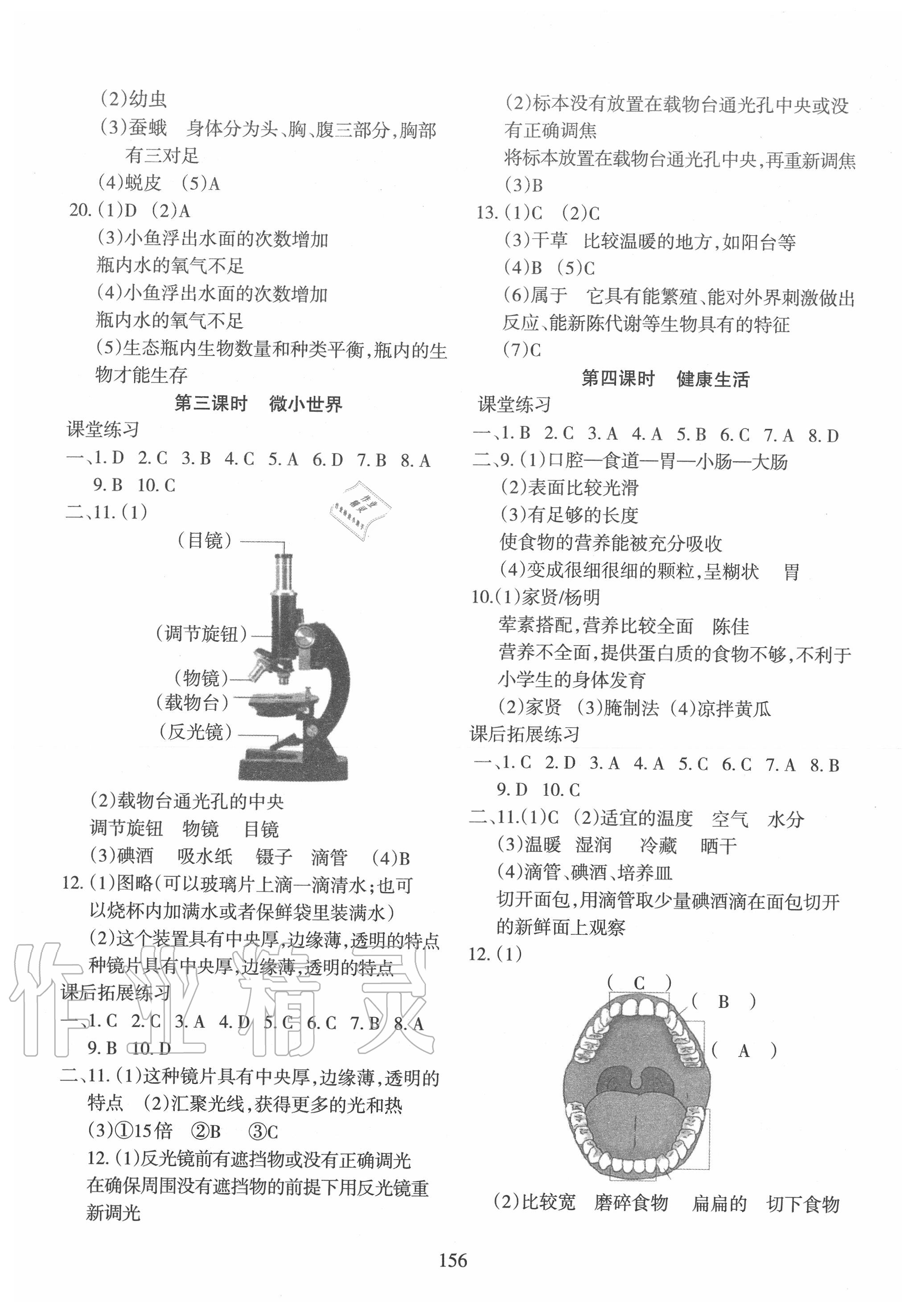 2020年小學畢業(yè)班科學總復習 第3頁