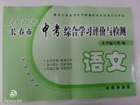 2020年長春市中考綜合學(xué)習(xí)評價(jià)與檢測語文