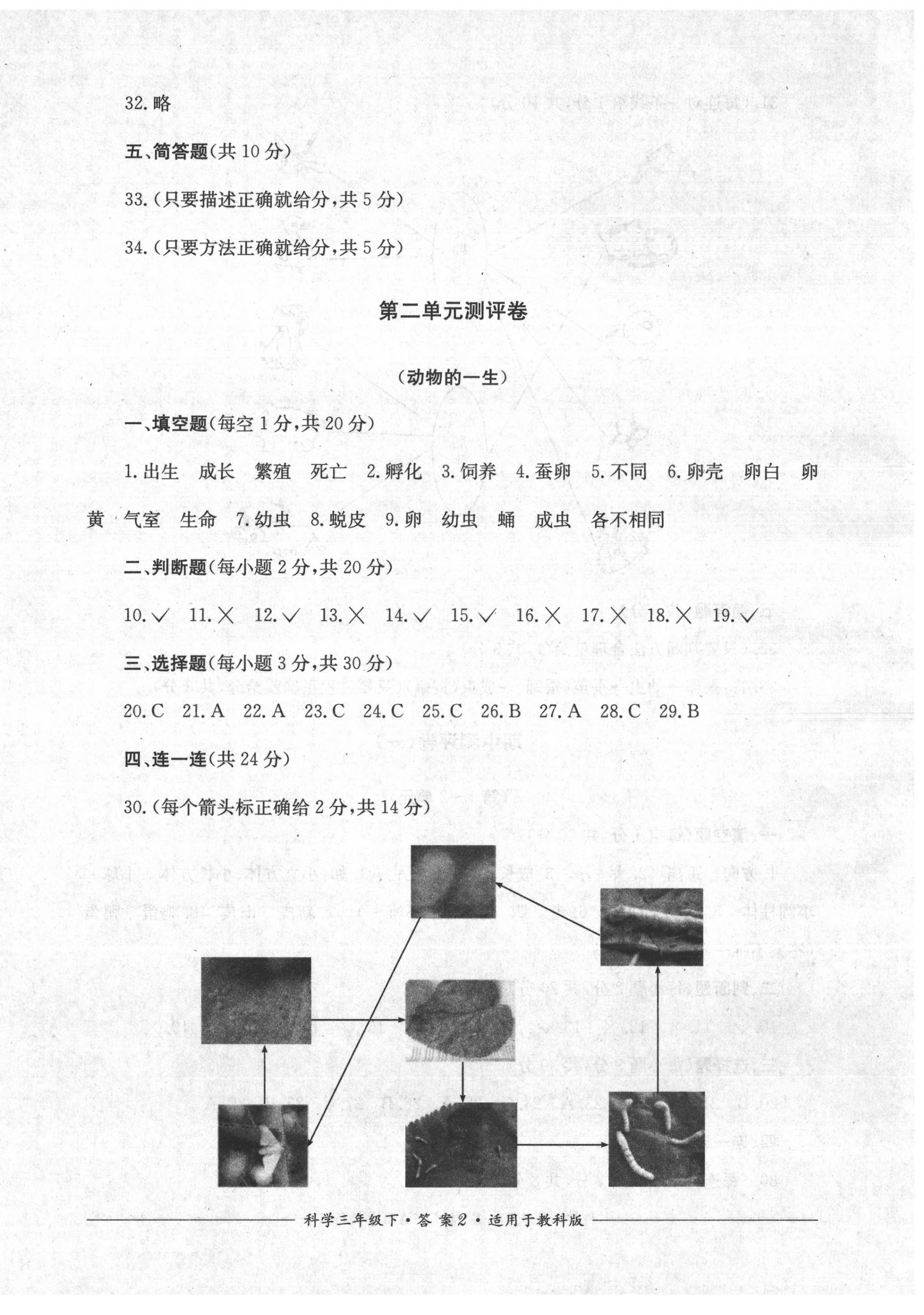 2020年單元測評三年級科學下冊教科版四川教育出版社 第2頁