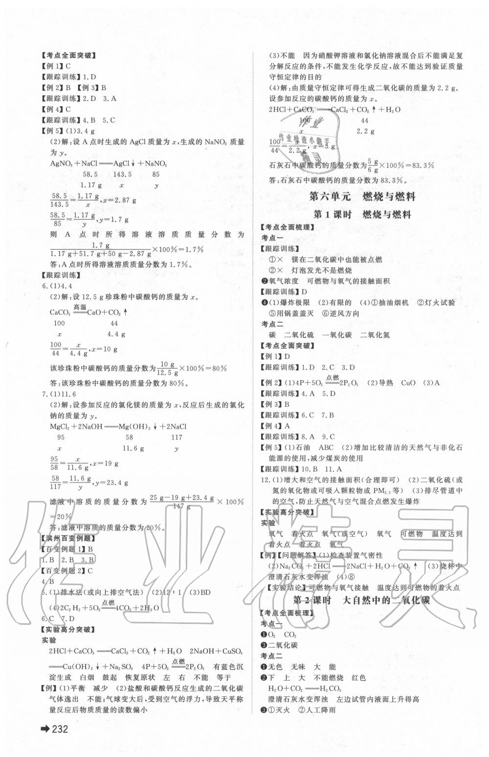 2020年中考备战化学滨州专用 第4页