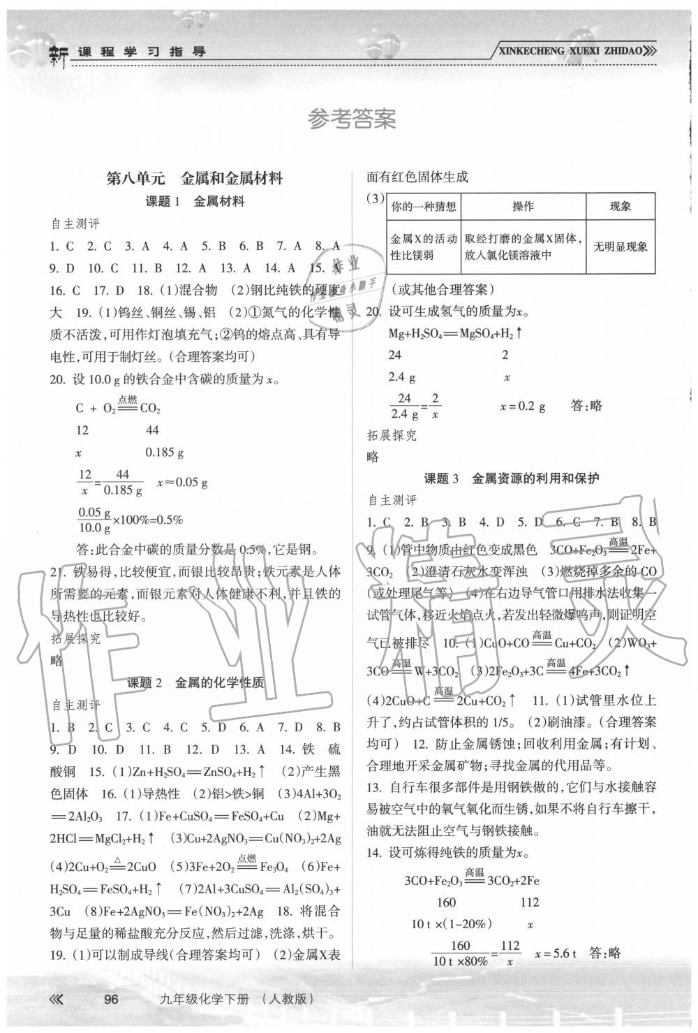 2020年新課程學習指導九年級化學下冊人教版南方出版社 第2頁