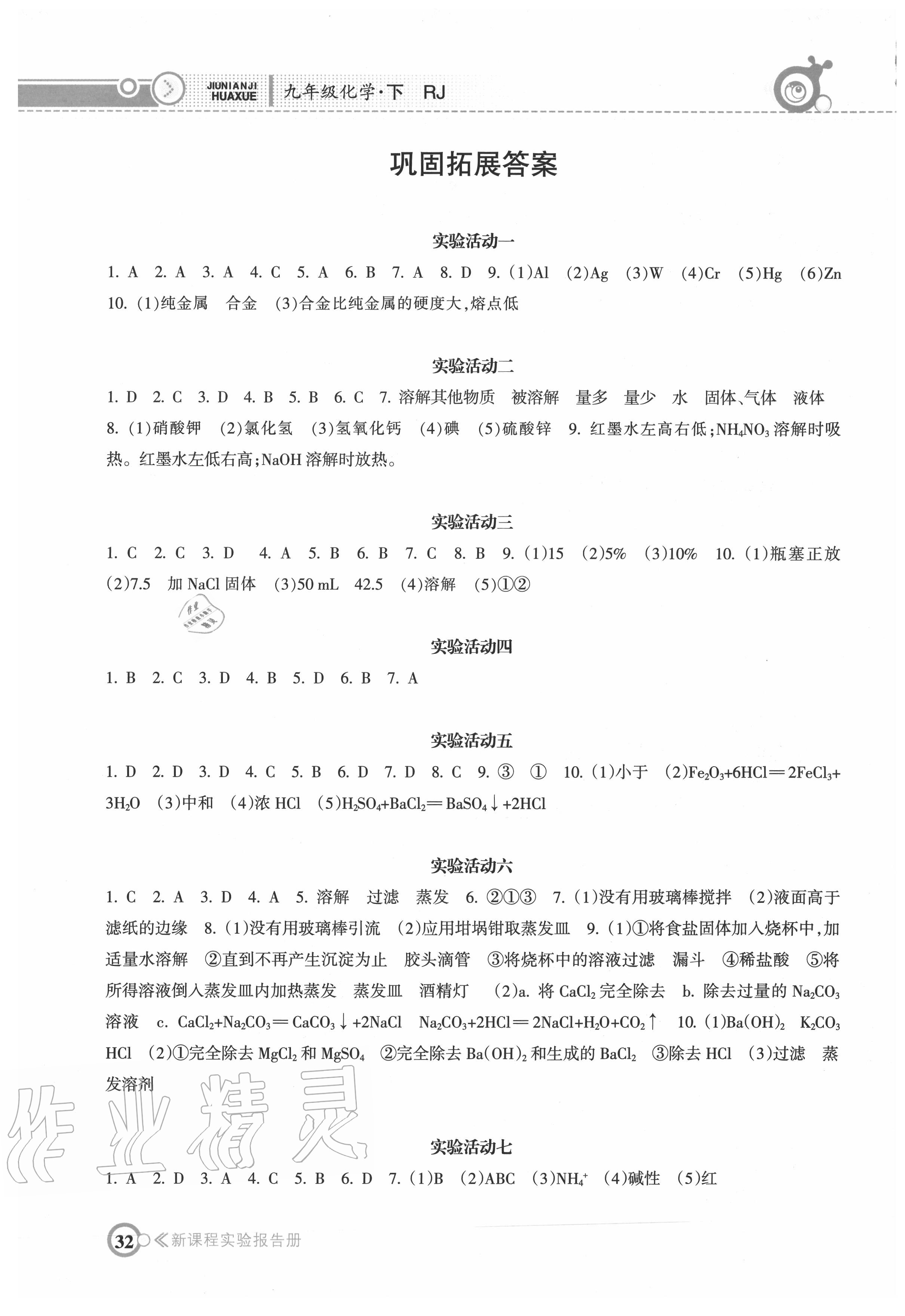 2020年新课程实验报告册九年级化学下册人教版 第1页