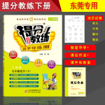 （東莞專用）提分教練九年級化學下冊人教版