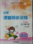 2020年小學(xué)課堂同步訓(xùn)練六年級語文下冊人教版山東文藝出版社