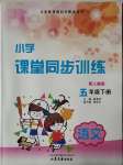 2020年小學(xué)課堂同步訓(xùn)練五年級語文下冊人教版山東文藝出版社