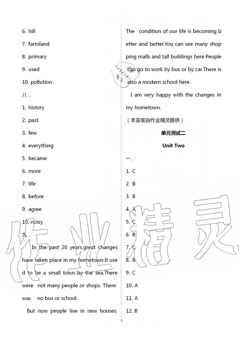 2020年阳光互动绿色成长空间八年级英语下册译林版 第3页