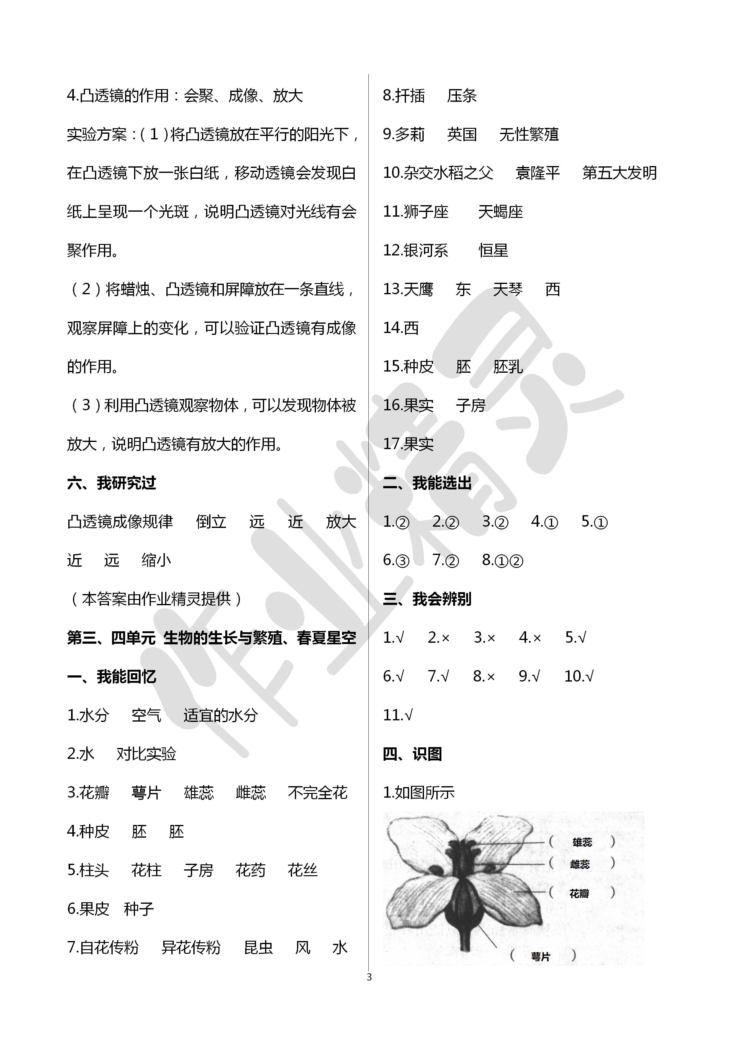 2020年能力素養(yǎng)自主檢測(cè)單元檢測(cè)卷五年級(jí)科學(xué)下冊(cè)青島版 第3頁(yè)