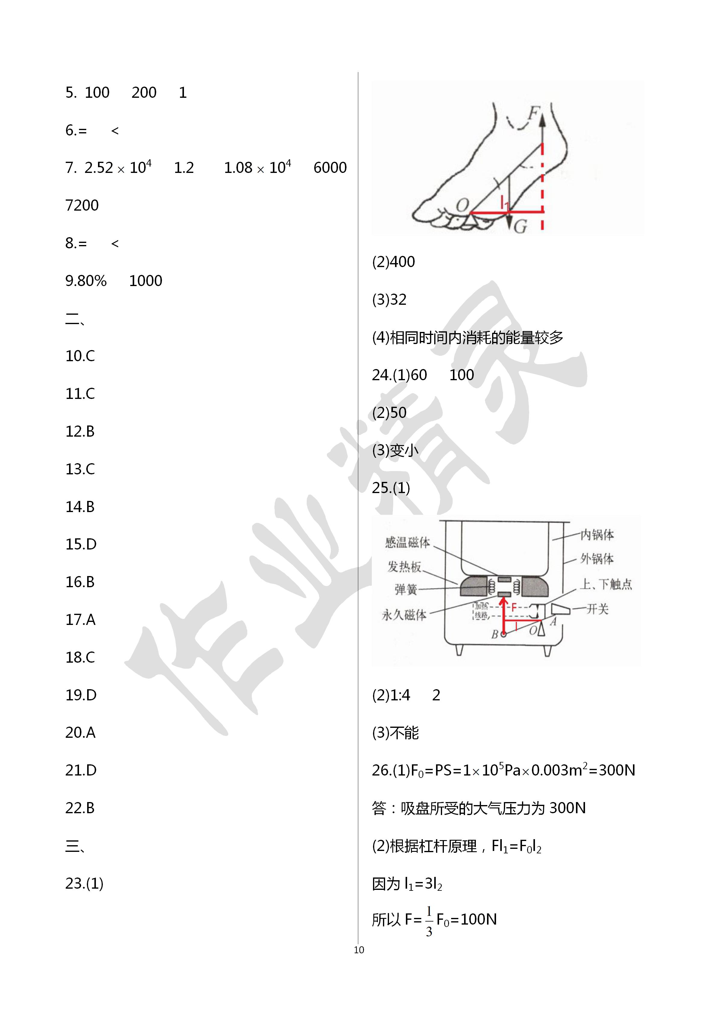 2020年初中毕业升学考试指南物理 第10页