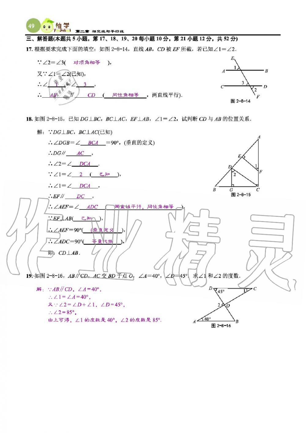 2020年課時分層作業(yè)本七年級數(shù)學下冊北師大版 參考答案第51頁