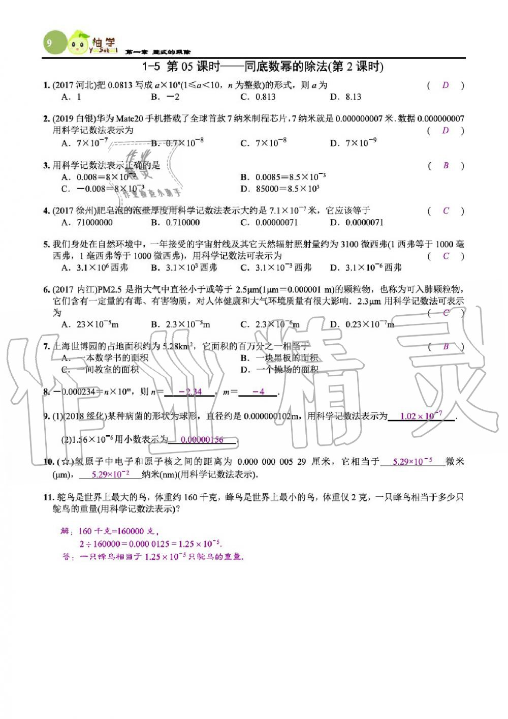 2020年課時(shí)分層作業(yè)本七年級(jí)數(shù)學(xué)下冊(cè)北師大版 參考答案第11頁(yè)