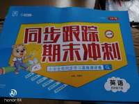2020年同步跟蹤期末沖刺小學全程同步學習高效測評卷四年級英語下冊譯林版