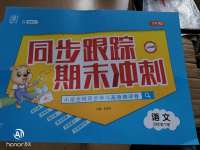 2020年同步跟蹤期末沖刺小學全程同步學習高效測評卷四年級語文下冊人教版