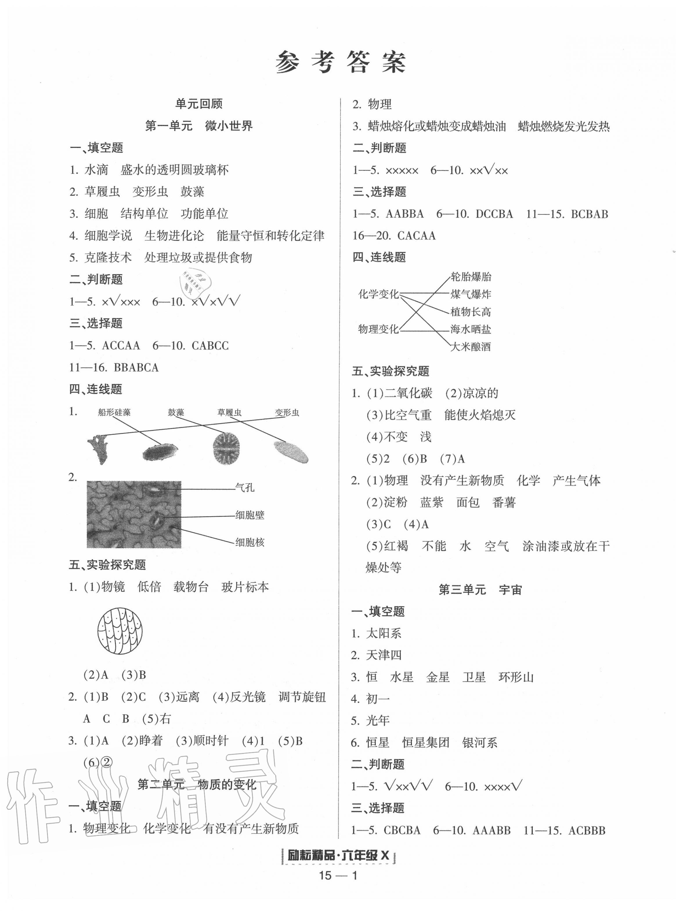 2020年励耘书业浙江新期末六年级科学下册教科版 第1页