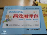 2020年小學全程同步學習高效測評卷六年級數學下冊北師大版