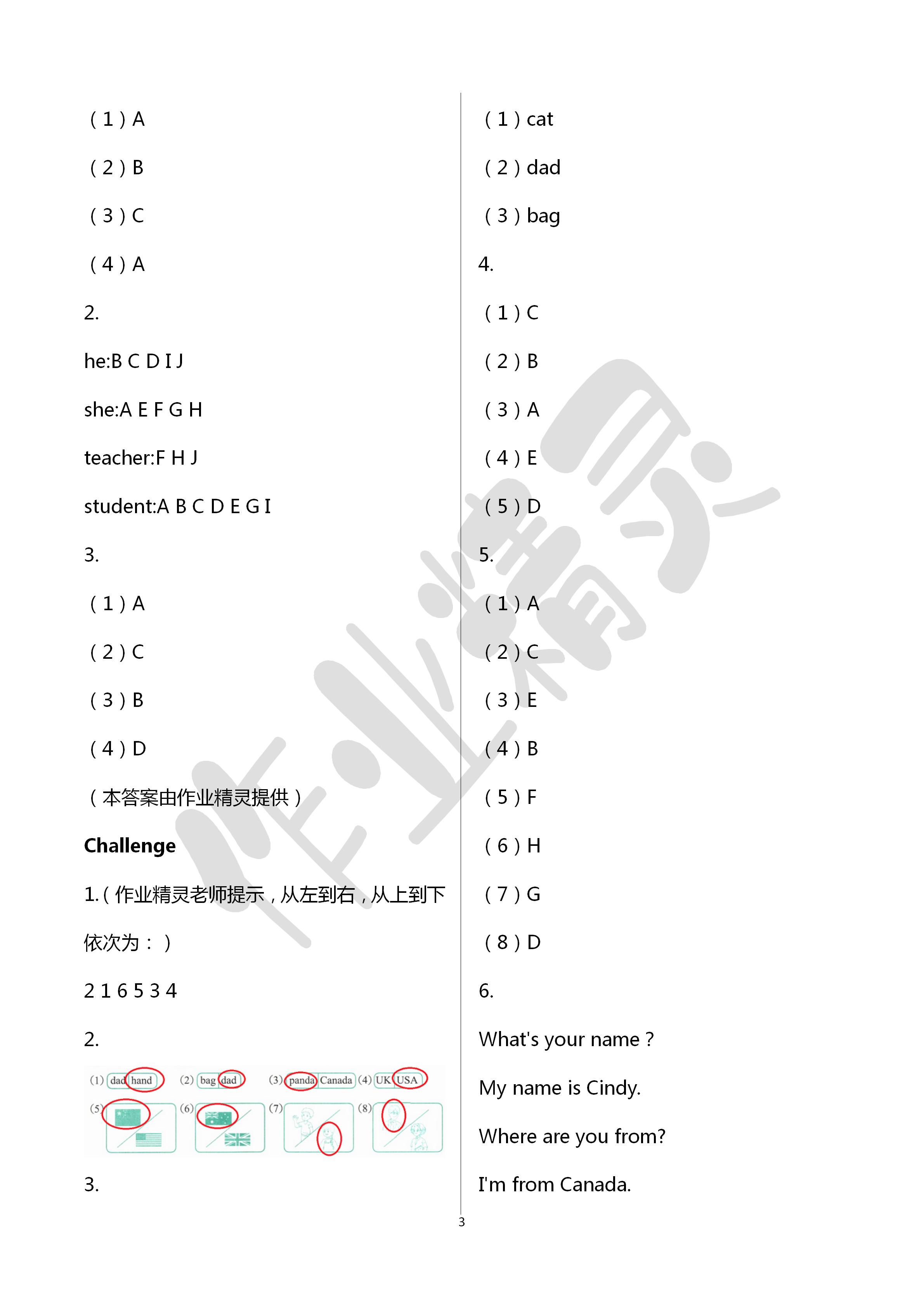 2020年英語(yǔ)三年級(jí)起點(diǎn)活動(dòng)評(píng)價(jià)手冊(cè)三年級(jí)英語(yǔ)下冊(cè)人教版 第3頁(yè)