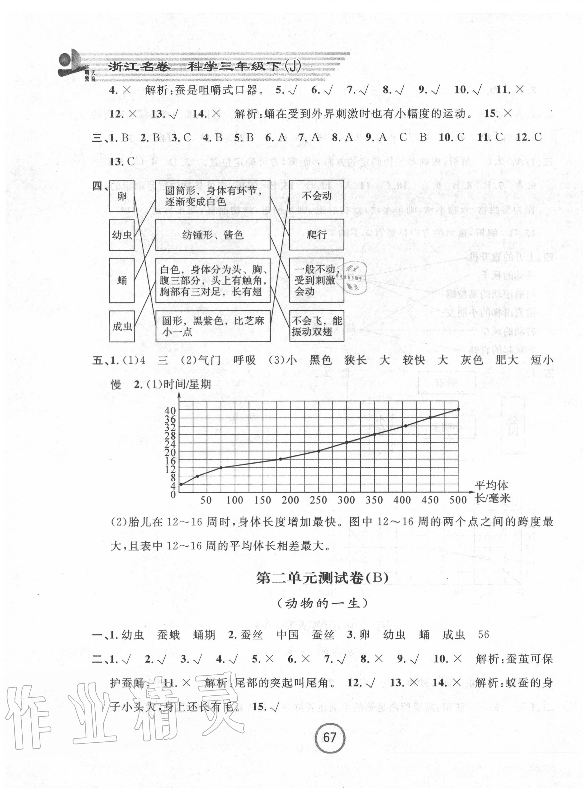 2020年浙江名卷三年级科学下册教科版 第3页