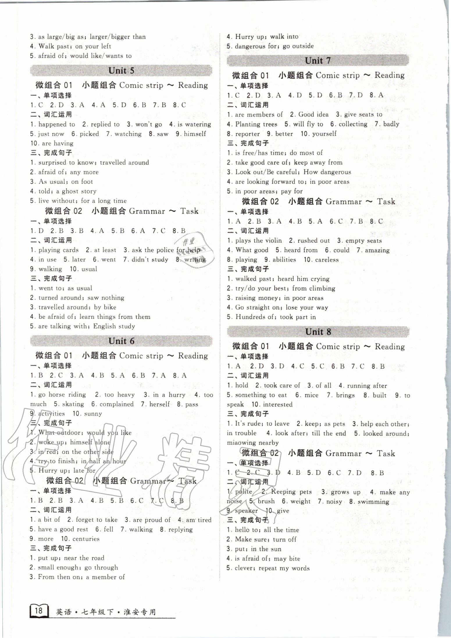 2020年經綸學典學霸組合訓練七年級英語下冊譯林版淮安專版 第2頁