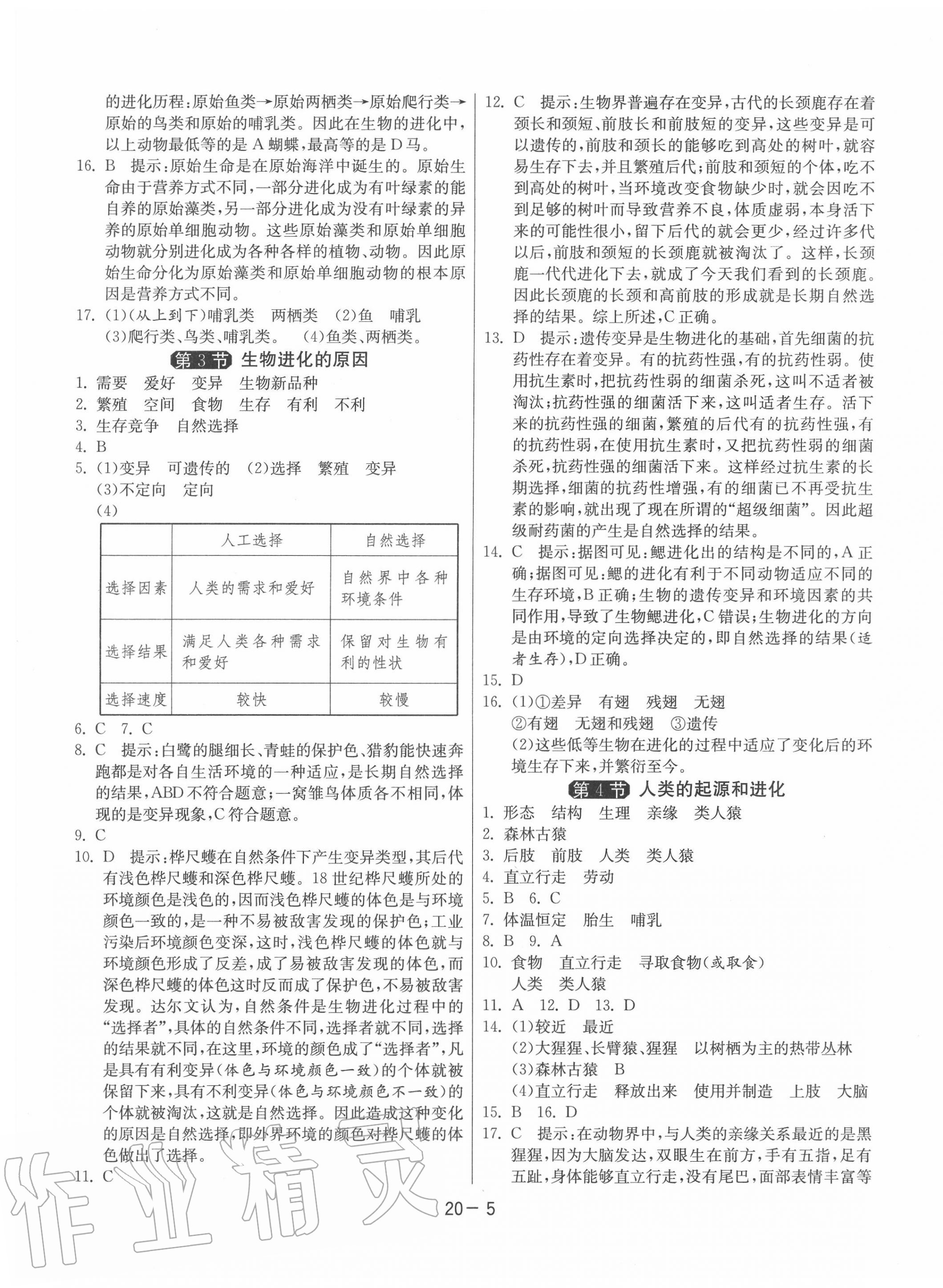 2020年1课3练单元达标测试八年级生物下册苏科版 第5页