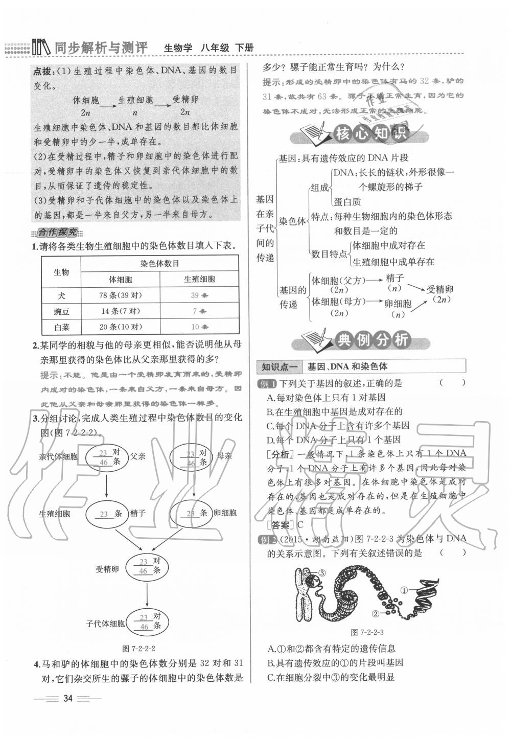 2020年人教金學典同步解析與測評八年級生物下冊人教版云南專版 第34頁