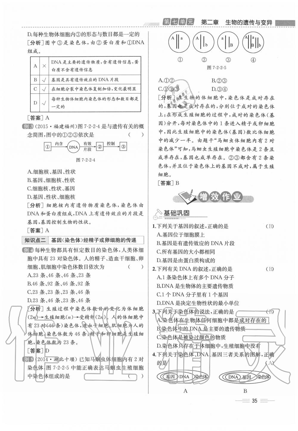 2020年人教金學(xué)典同步解析與測評八年級生物下冊人教版云南專版 第35頁