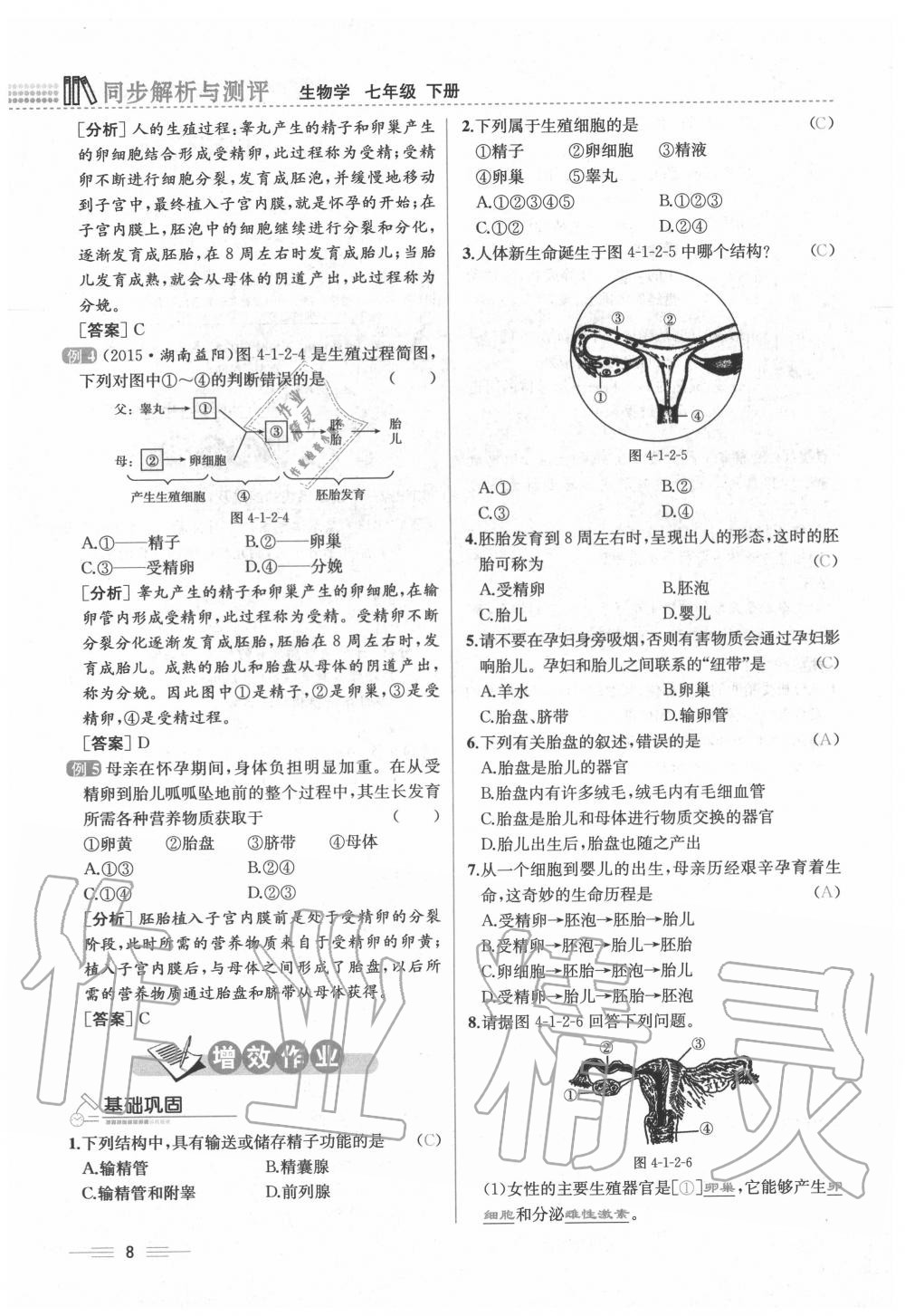 2020年人教金學典同步解析與測評七年級生物下冊人教版云南專版 第8頁