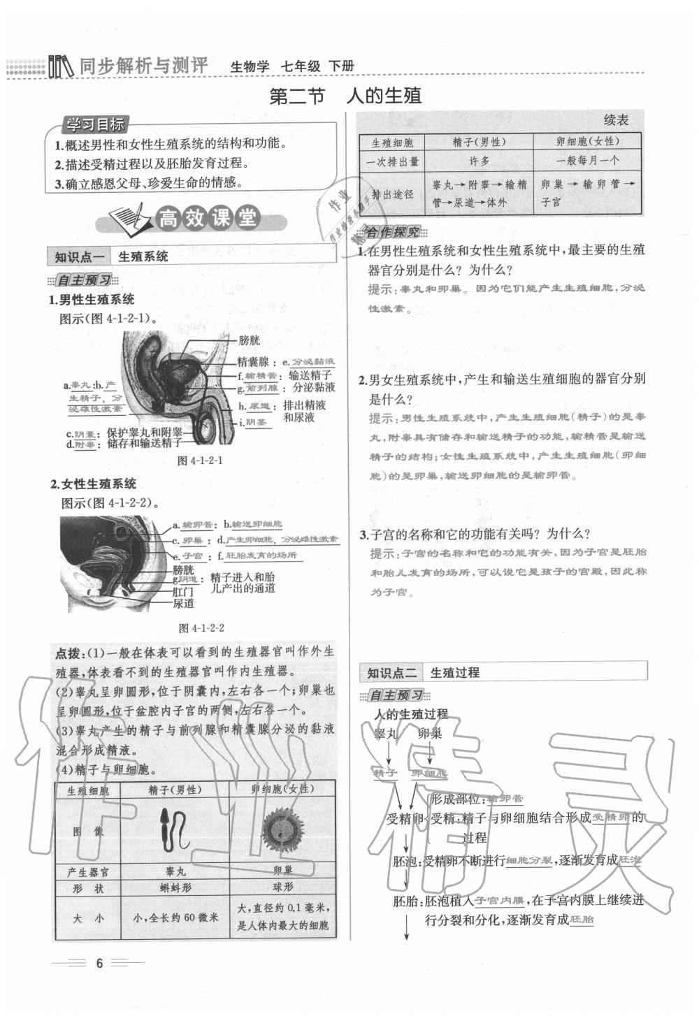 2020年人教金學(xué)典同步解析與測(cè)評(píng)七年級(jí)生物下冊(cè)人教版云南專版 第6頁(yè)