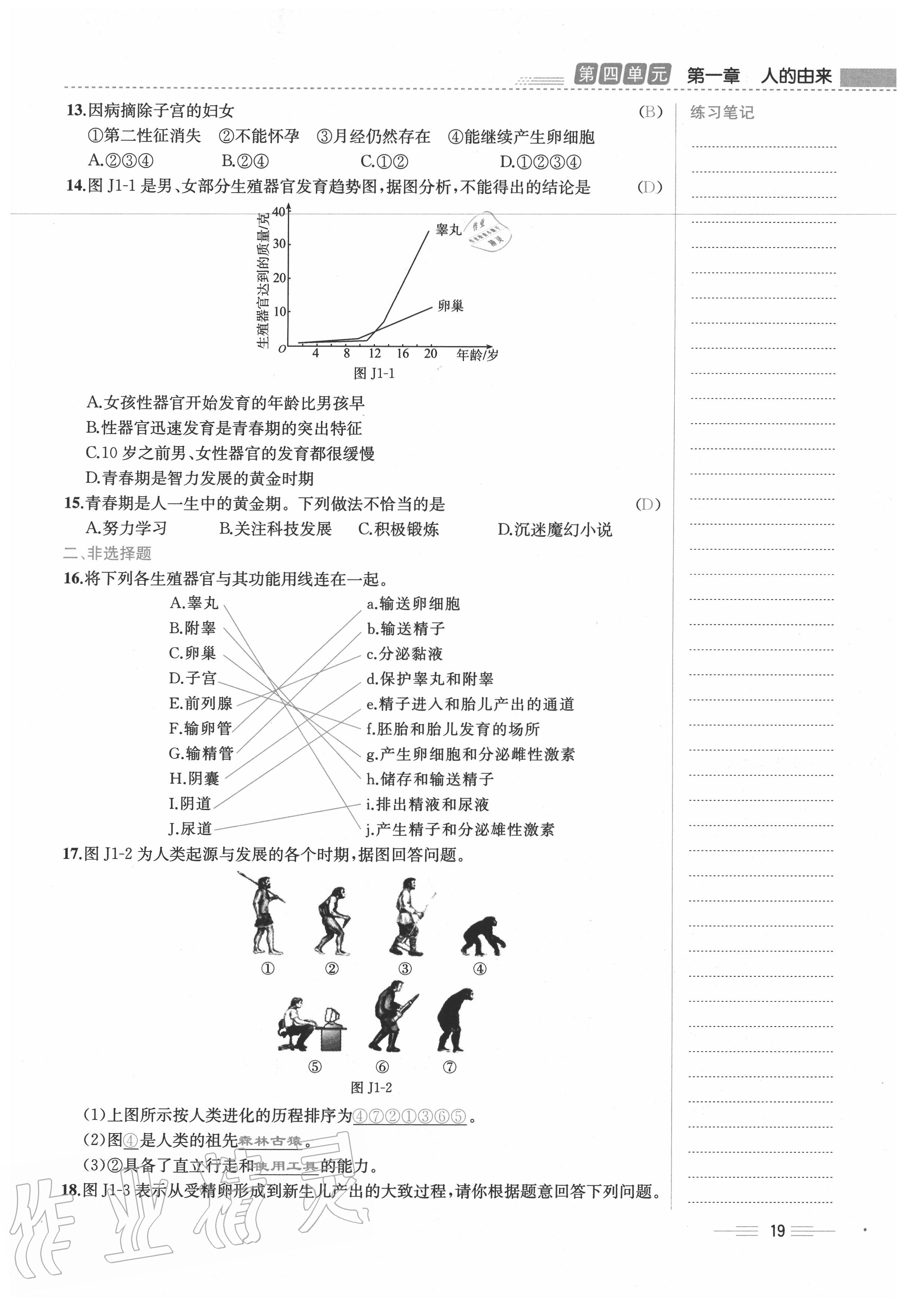 2020年人教金學(xué)典同步解析與測評七年級生物下冊人教版云南專版 第19頁