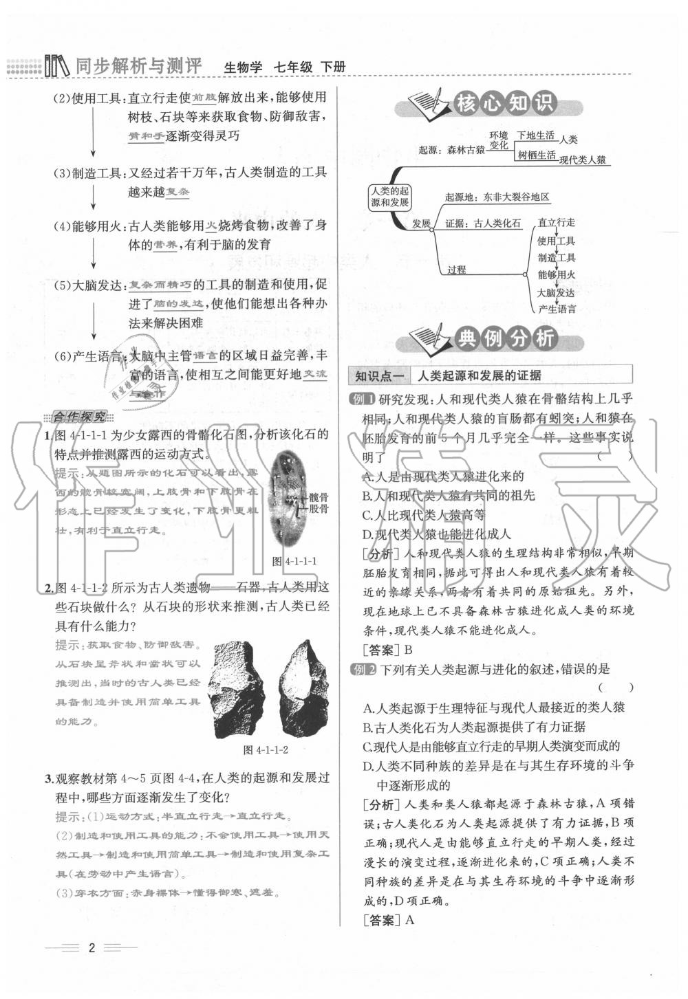 2020年人教金學典同步解析與測評七年級生物下冊人教版云南專版 第2頁