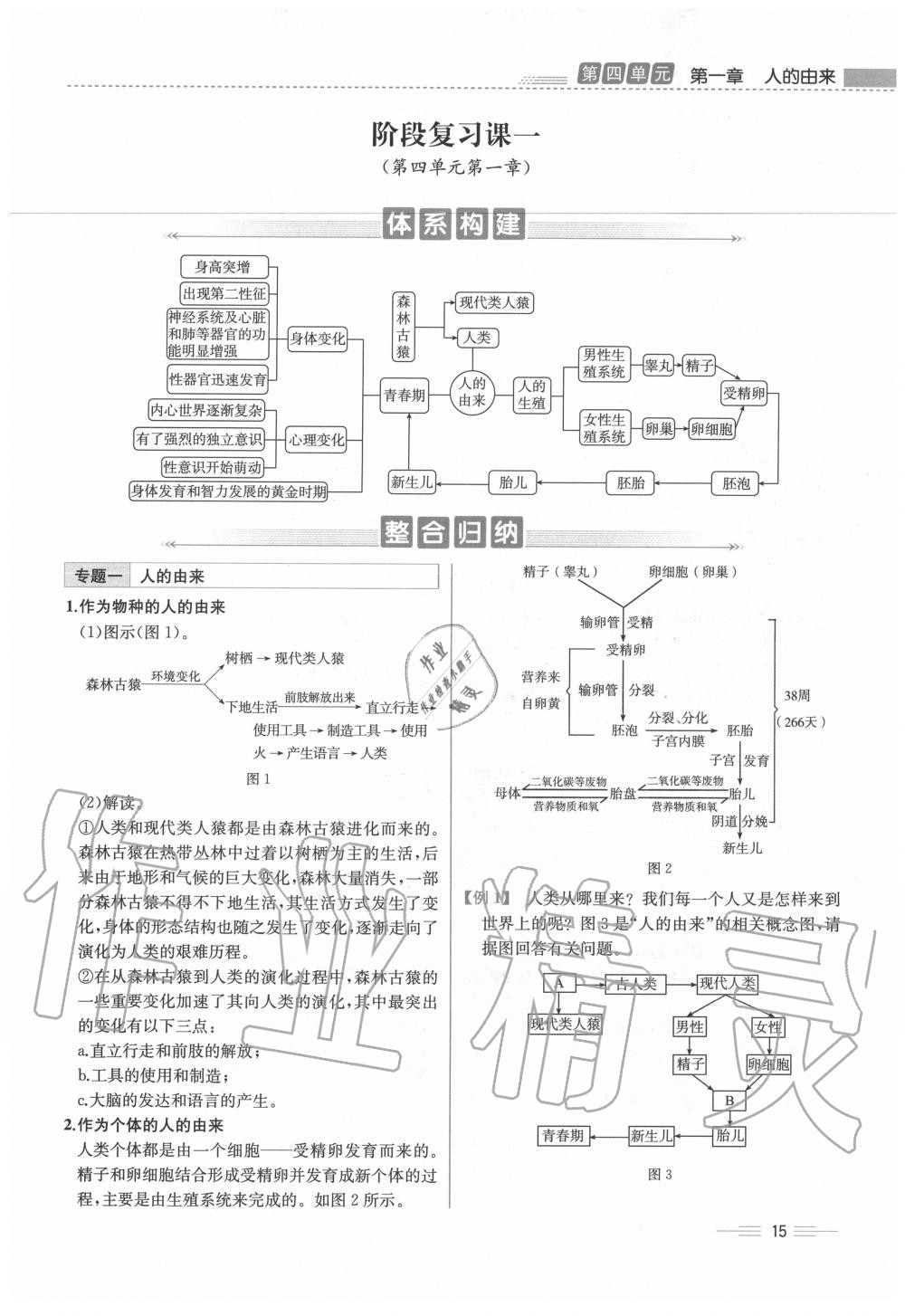 2020年人教金學(xué)典同步解析與測評七年級生物下冊人教版云南專版 第15頁