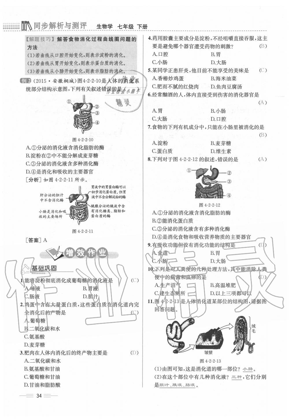 2020年人教金學(xué)典同步解析與測(cè)評(píng)七年級(jí)生物下冊(cè)人教版云南專(zhuān)版 第34頁(yè)