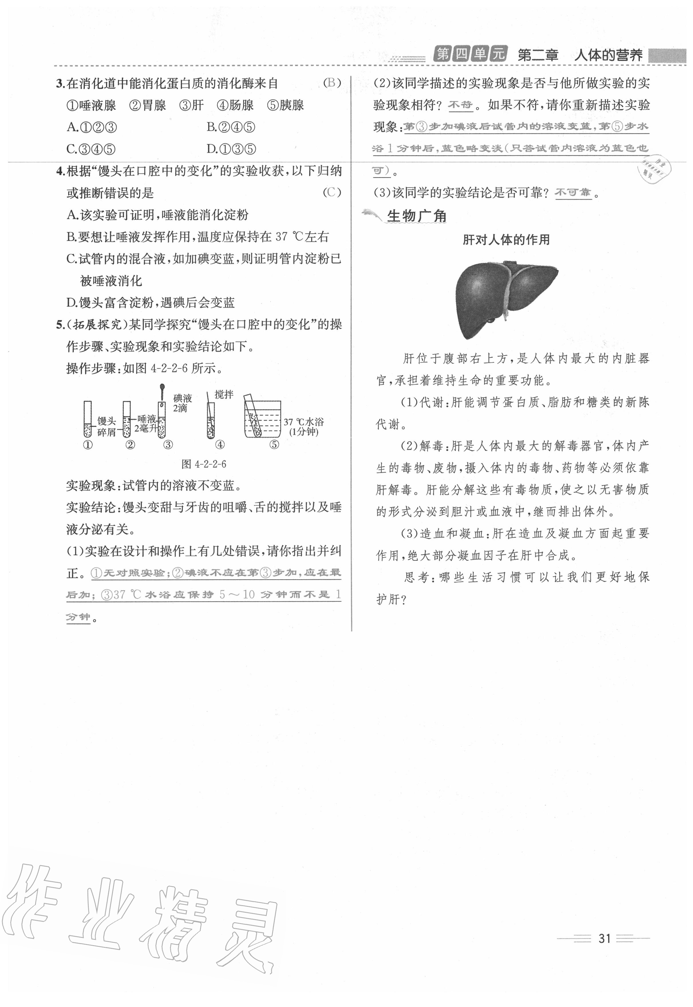 2020年人教金學典同步解析與測評七年級生物下冊人教版云南專版 第31頁