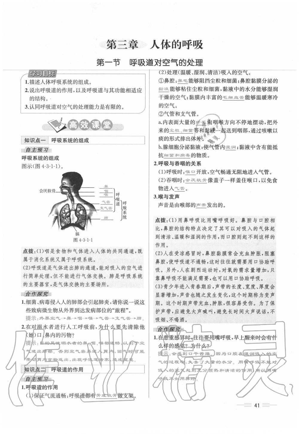 2020年人教金學(xué)典同步解析與測(cè)評(píng)七年級(jí)生物下冊(cè)人教版云南專版 第41頁(yè)