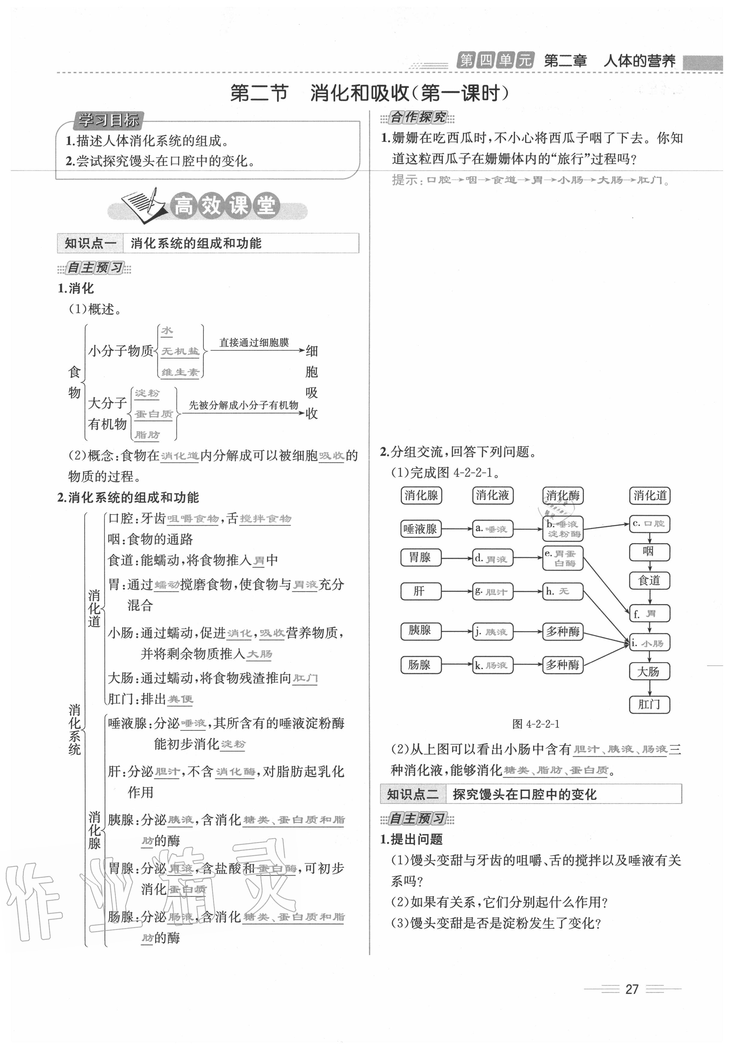 2020年人教金學(xué)典同步解析與測評七年級生物下冊人教版云南專版 第27頁