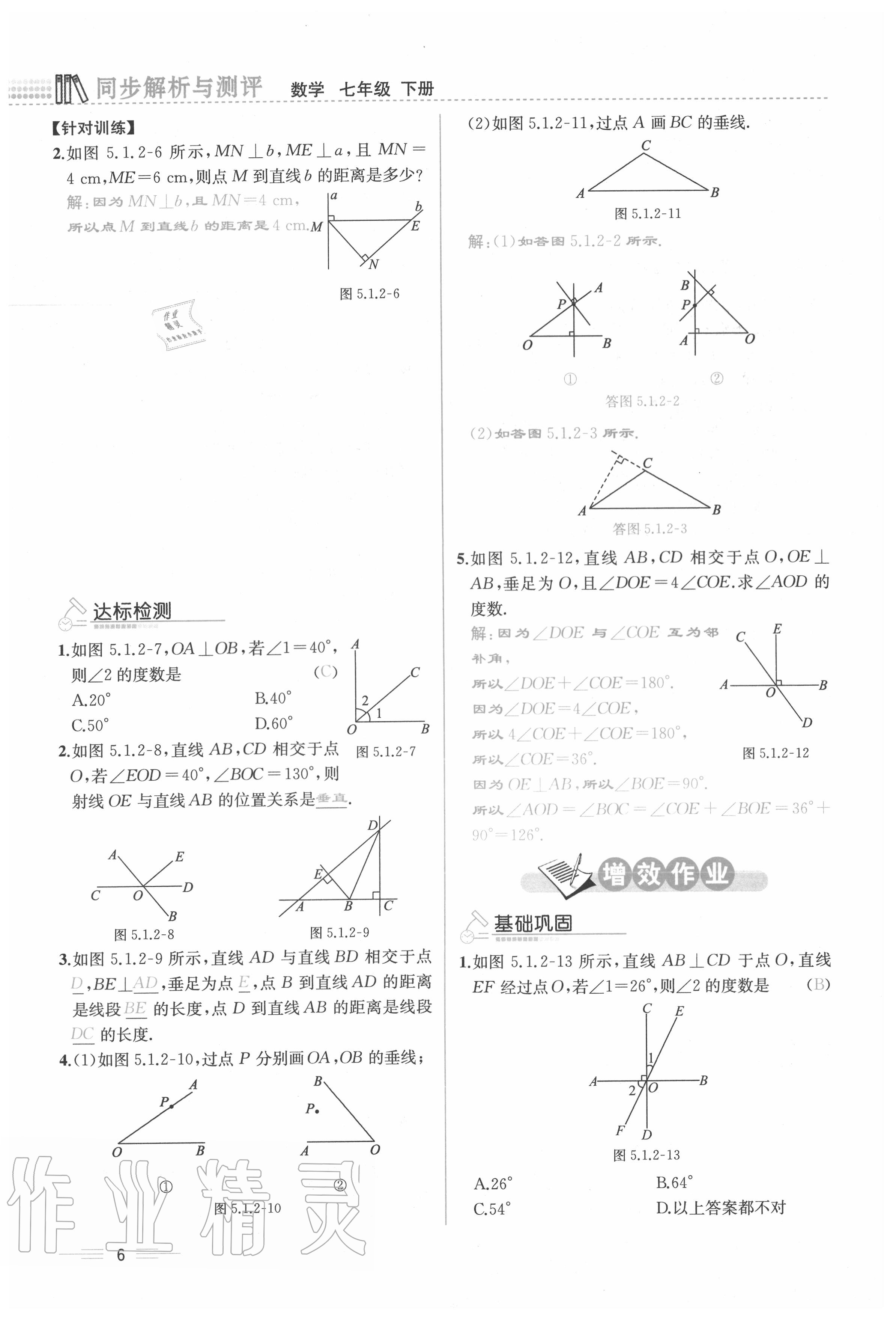 2020年人教金学典同步解析与测评七年级数学下册人教版云南专版 参考答案第6页