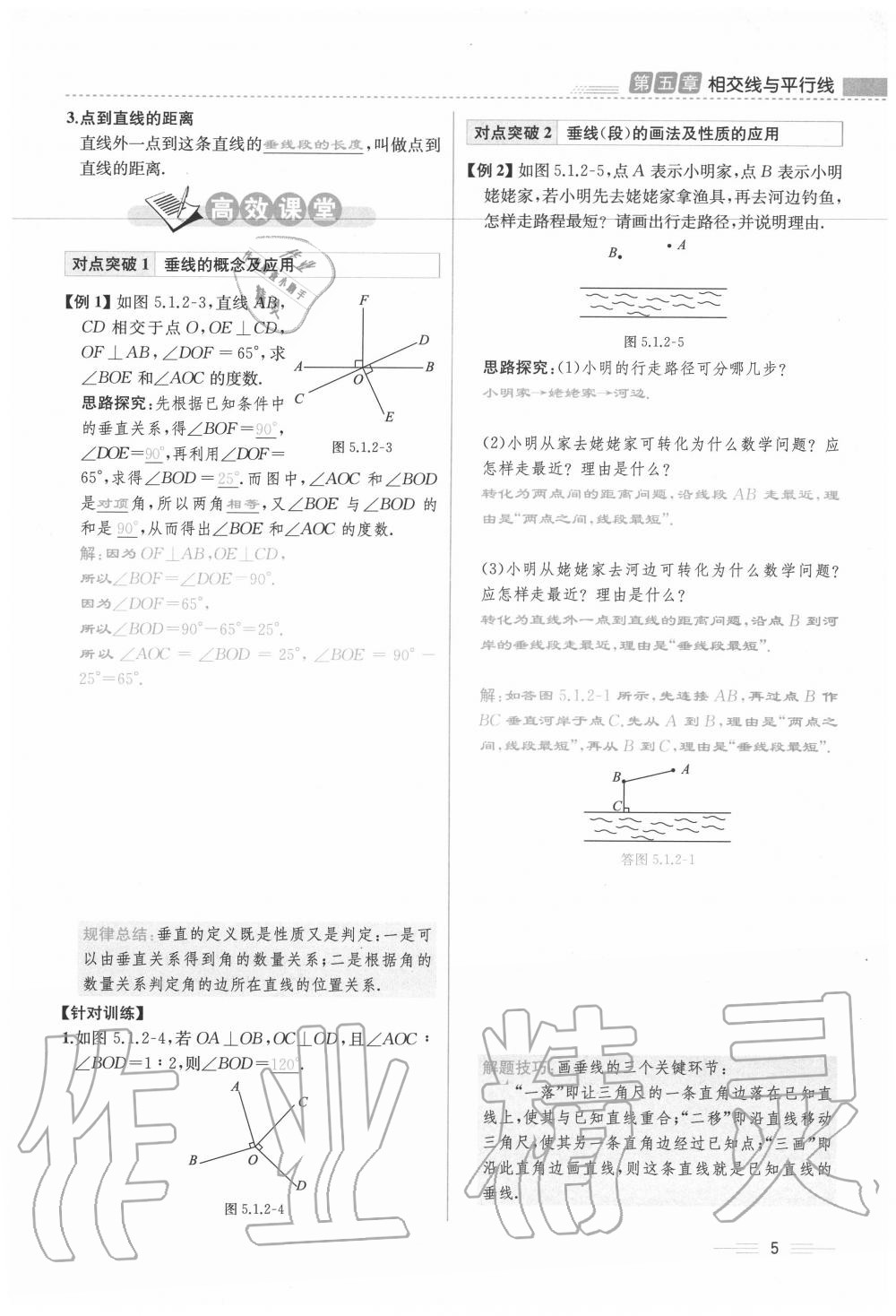 2020年人教金学典同步解析与测评七年级数学下册人教版云南专版 参考答案第5页