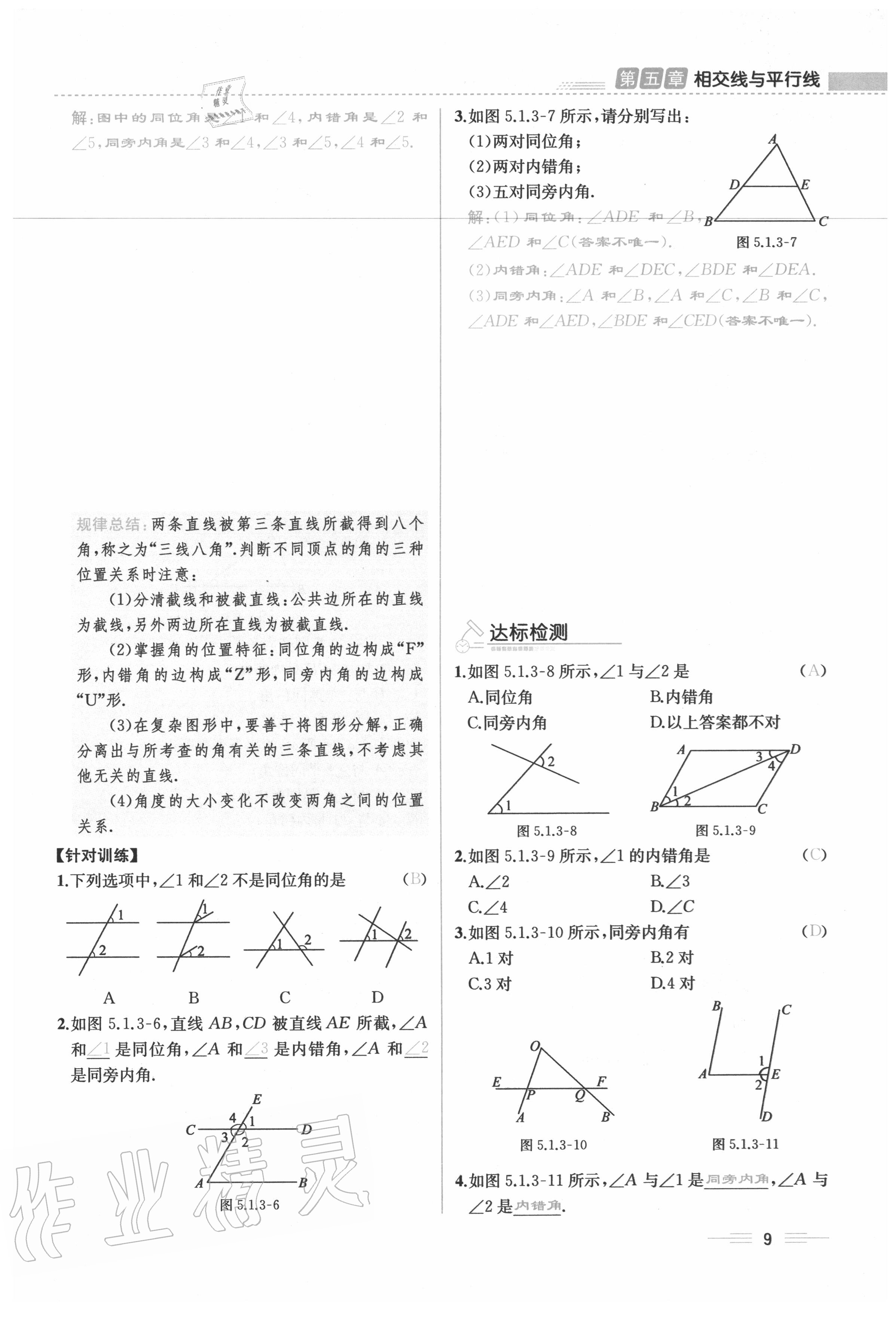 2020年人教金学典同步解析与测评七年级数学下册人教版云南专版 参考答案第9页