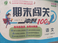 2020年期末闖關(guān)沖刺100分六年級語文下冊人教版