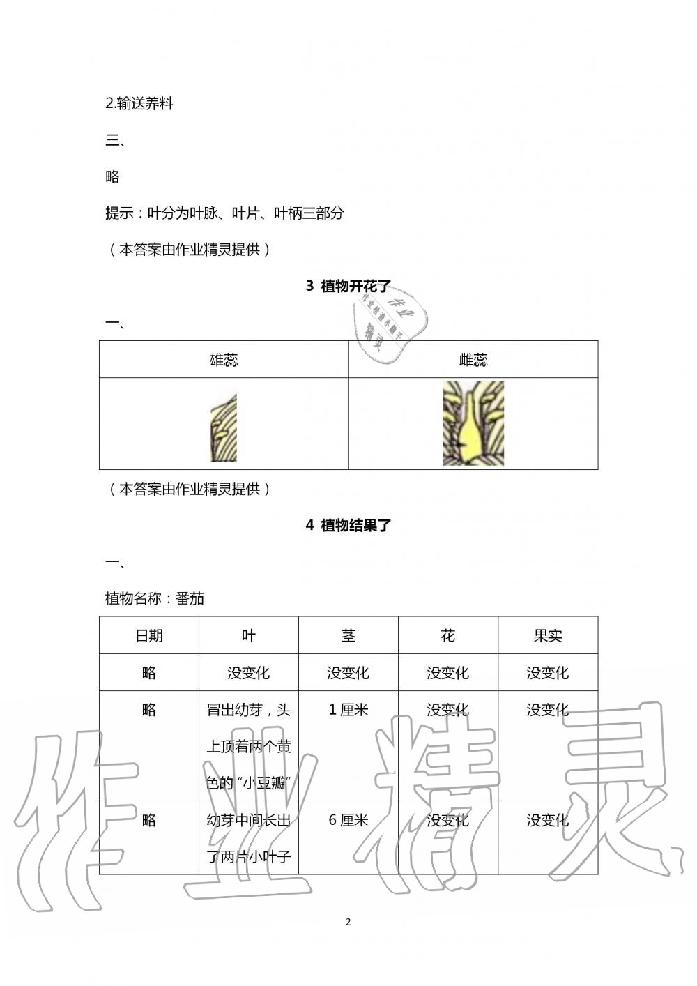 2020年學(xué)生活動手冊三年級科學(xué)下冊蘇教版 第2頁