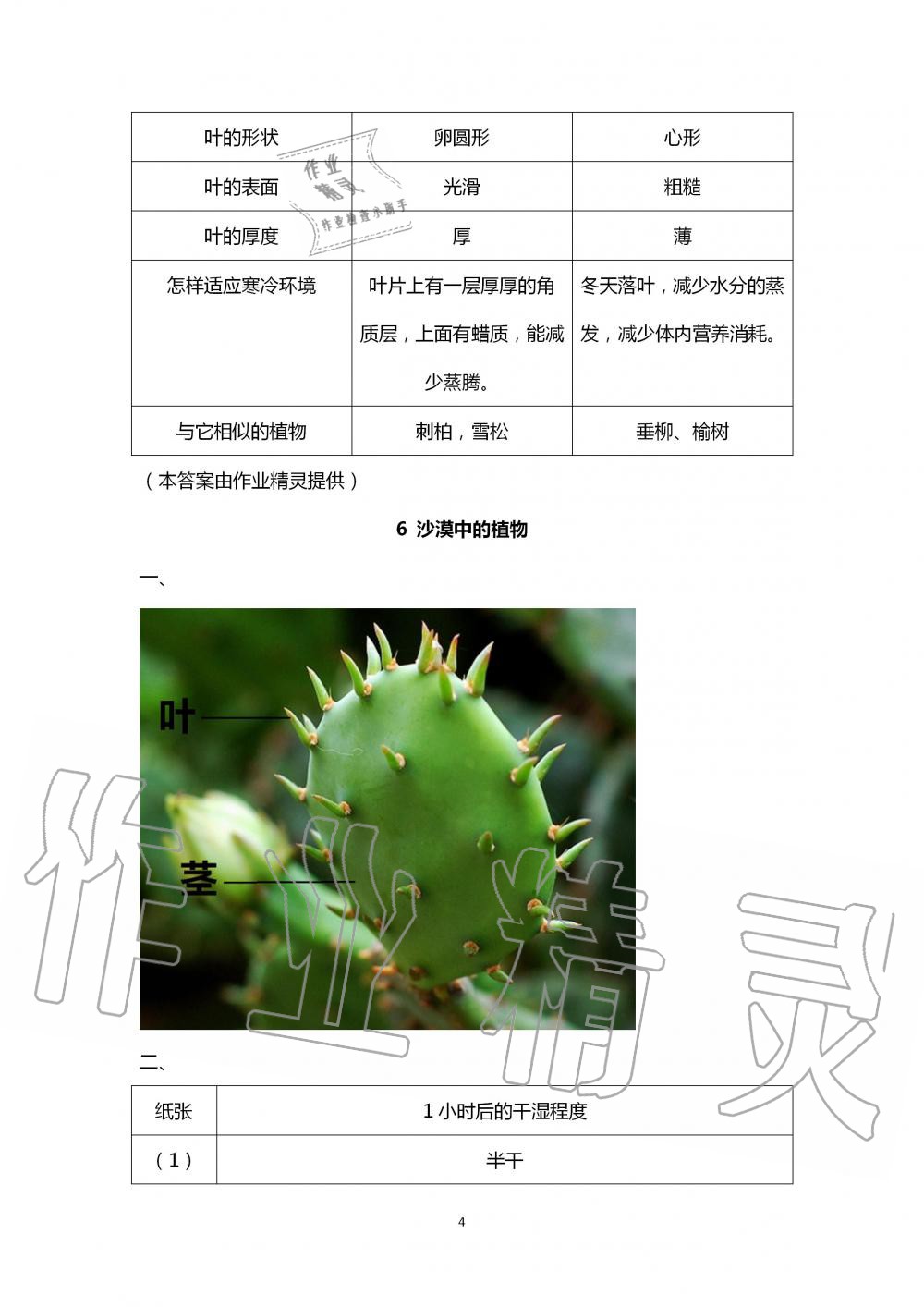 2020年學(xué)生活動手冊三年級科學(xué)下冊蘇教版 第4頁