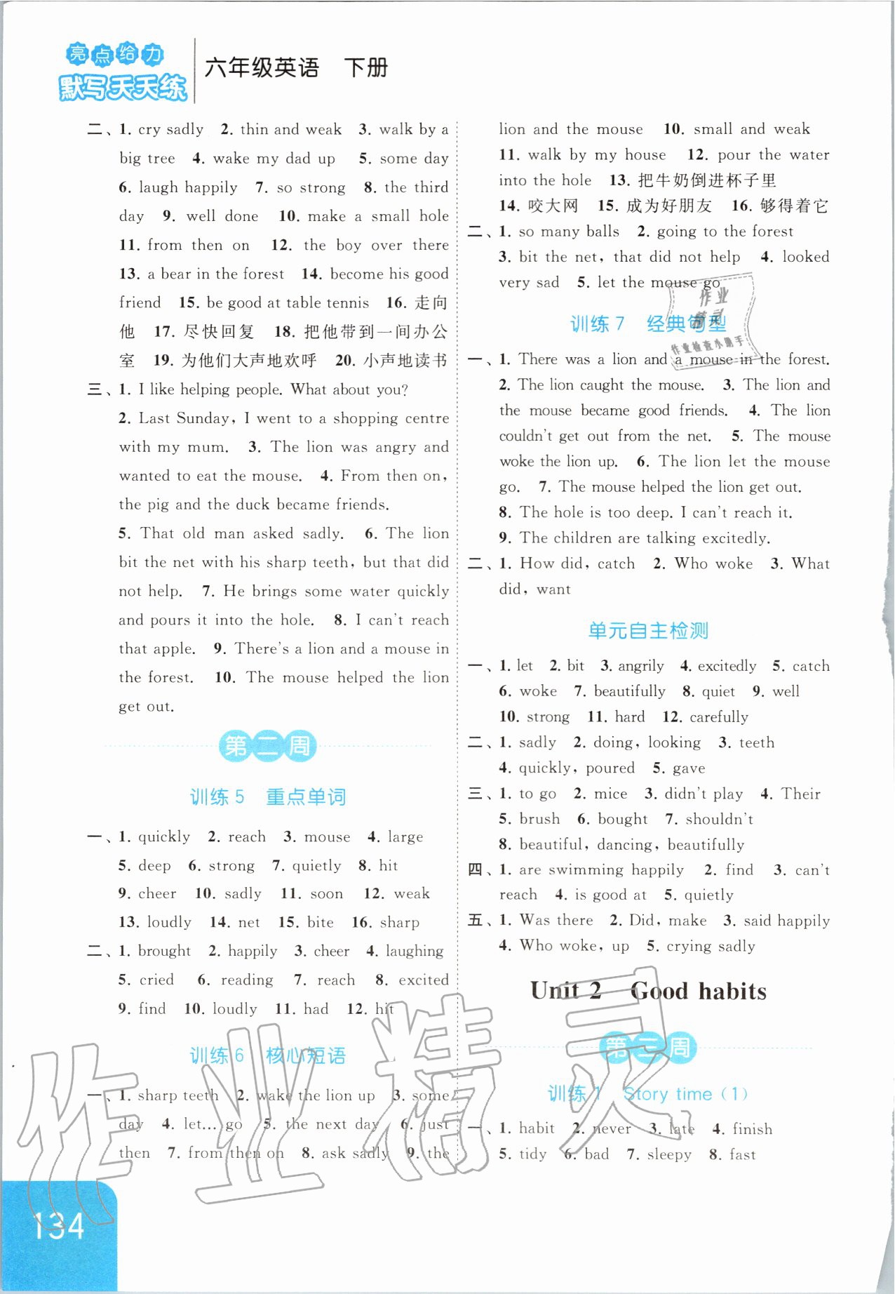2020年亮點給力默寫天天練六年級英語下冊譯林版 第2頁