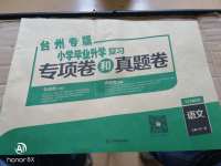 2020年小學畢業升學復習專項卷和真題卷語文臺州專版